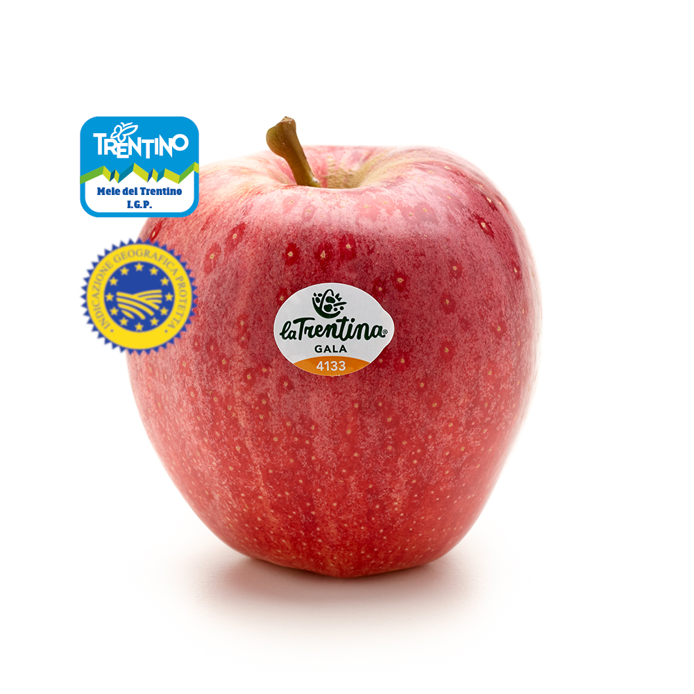 Gala