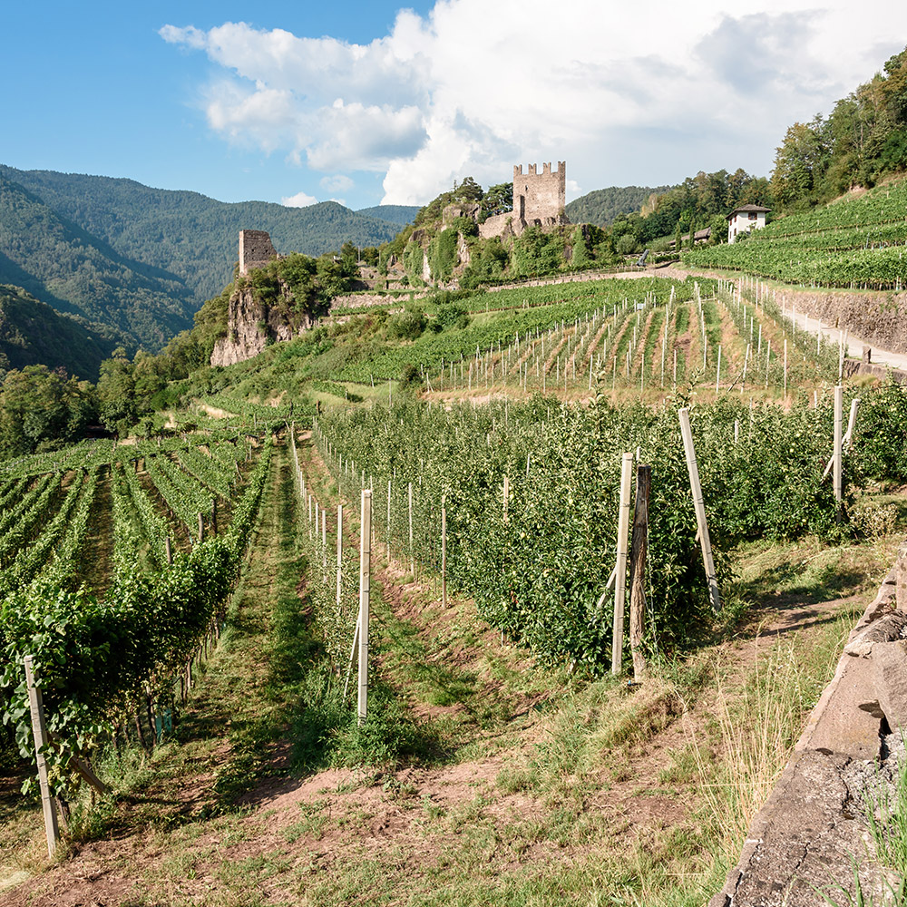 Val di Cembra