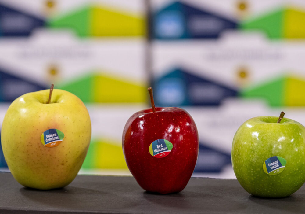 La Cooperativa La Trentina: millequattrocento famiglie impegnate in una agricoltura di straordinaria qualità