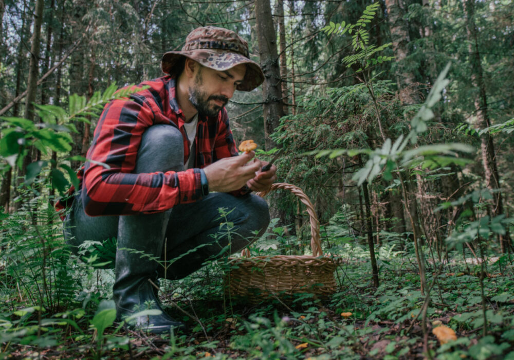 Camminare e cercare funghi: una passione senza età!