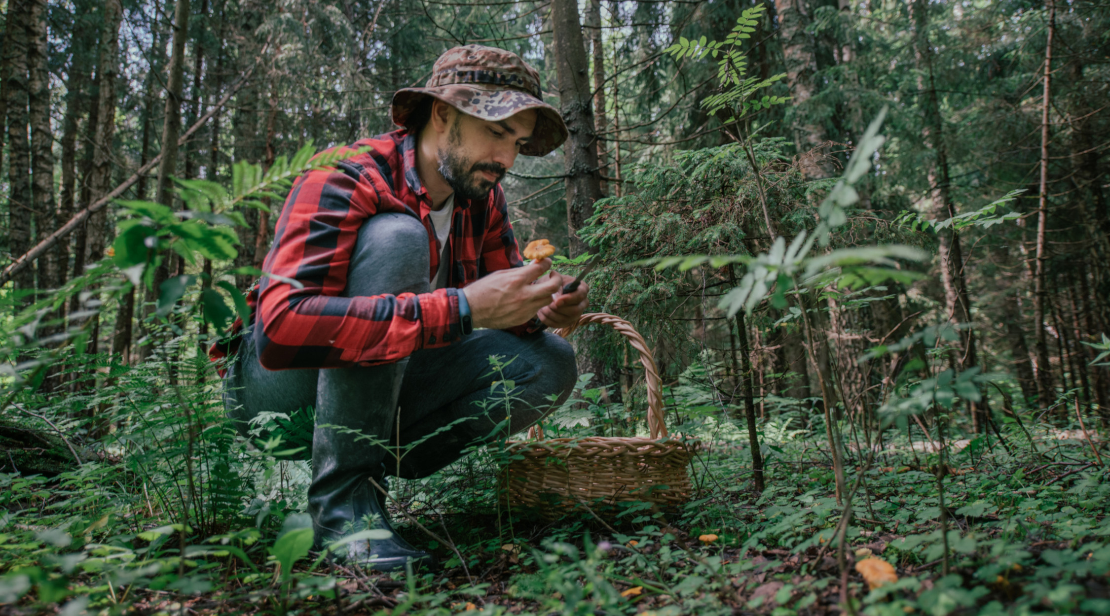Camminare e cercare funghi una passione senza eta