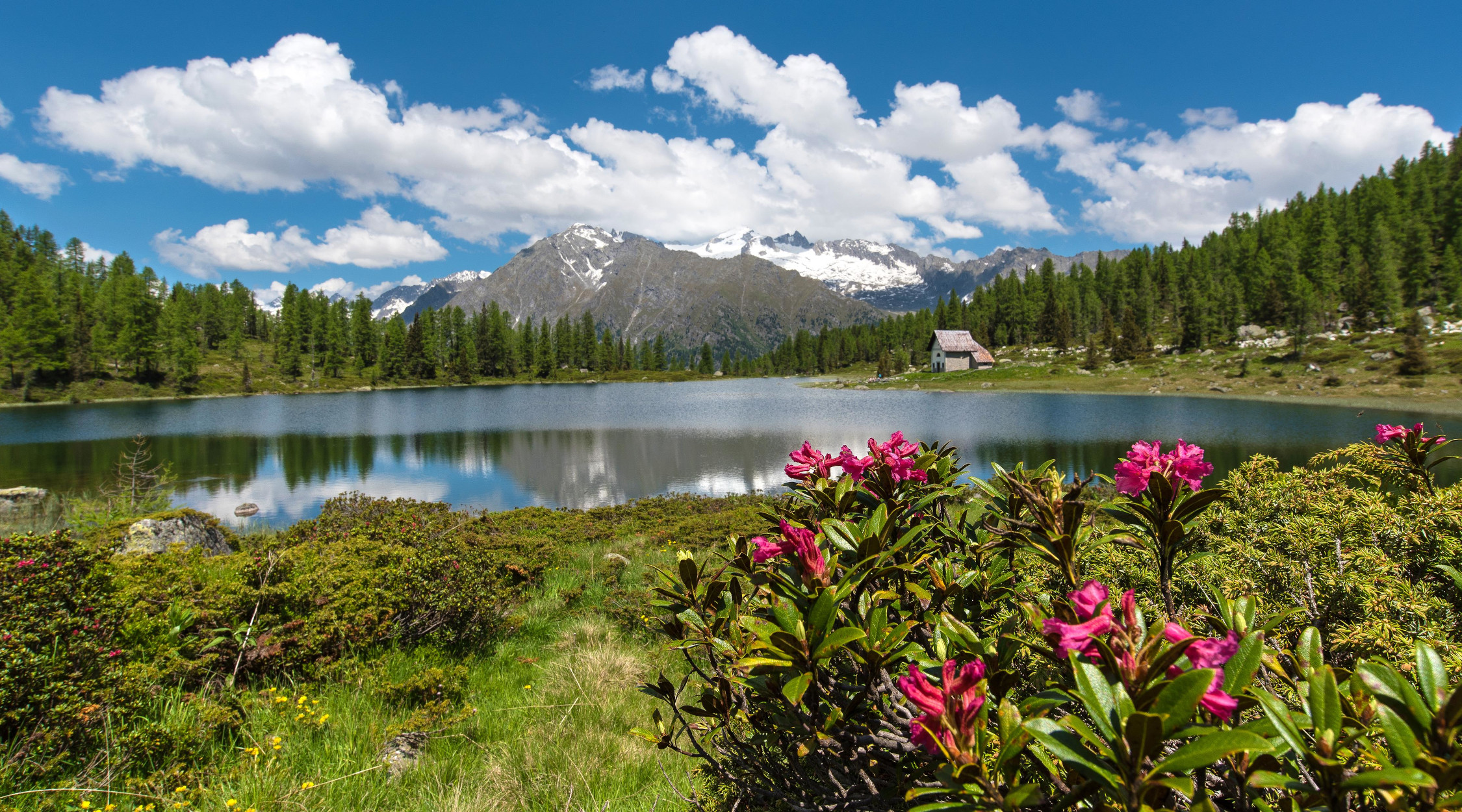 Primavera in Trentino