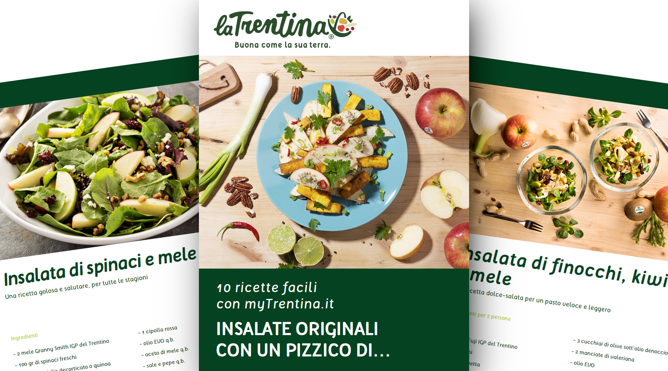 10 ricette insalate originali myTrentina