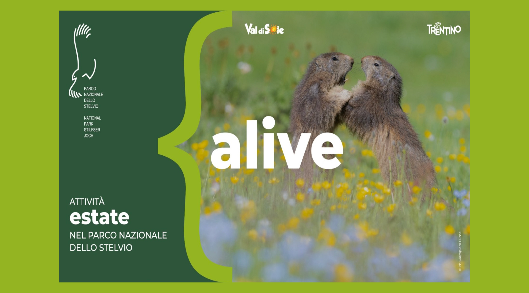 Parco Nazionale dello Stelvio