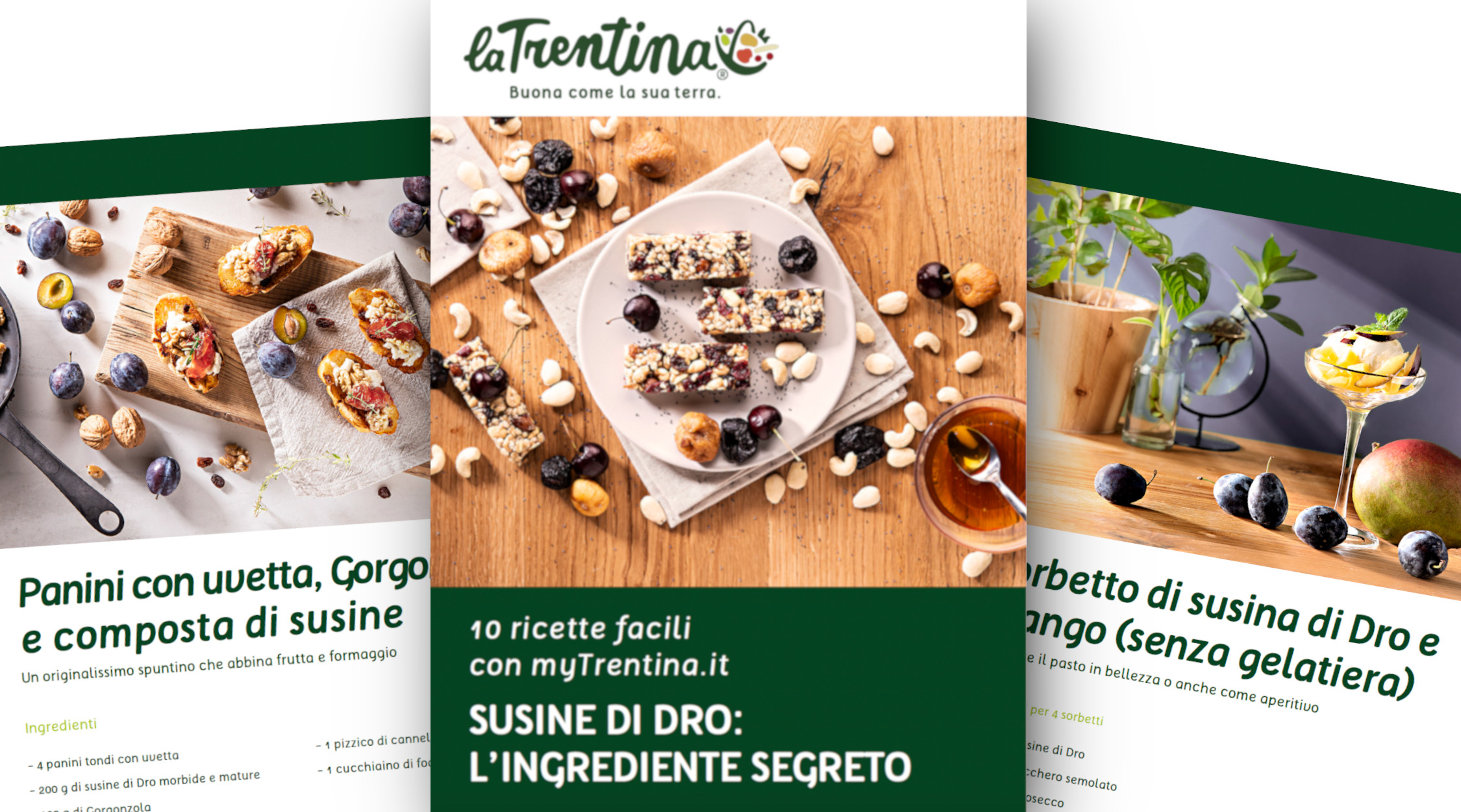 Ricette pdf susine di Dro
