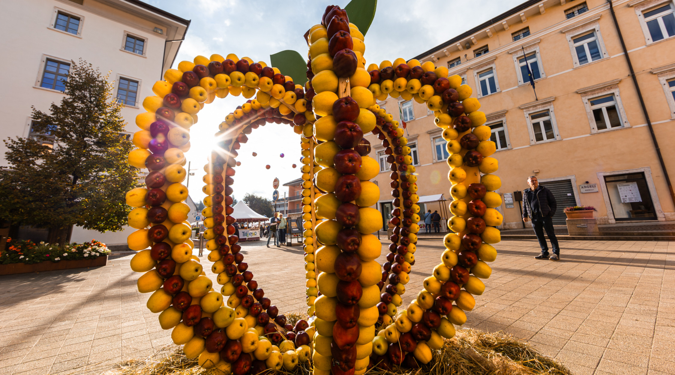 Pomaria