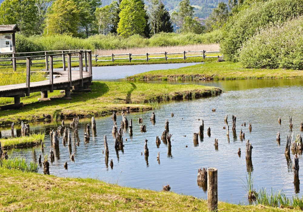 Biotopi trentini: piccoli mondi, grandi ecosistemi