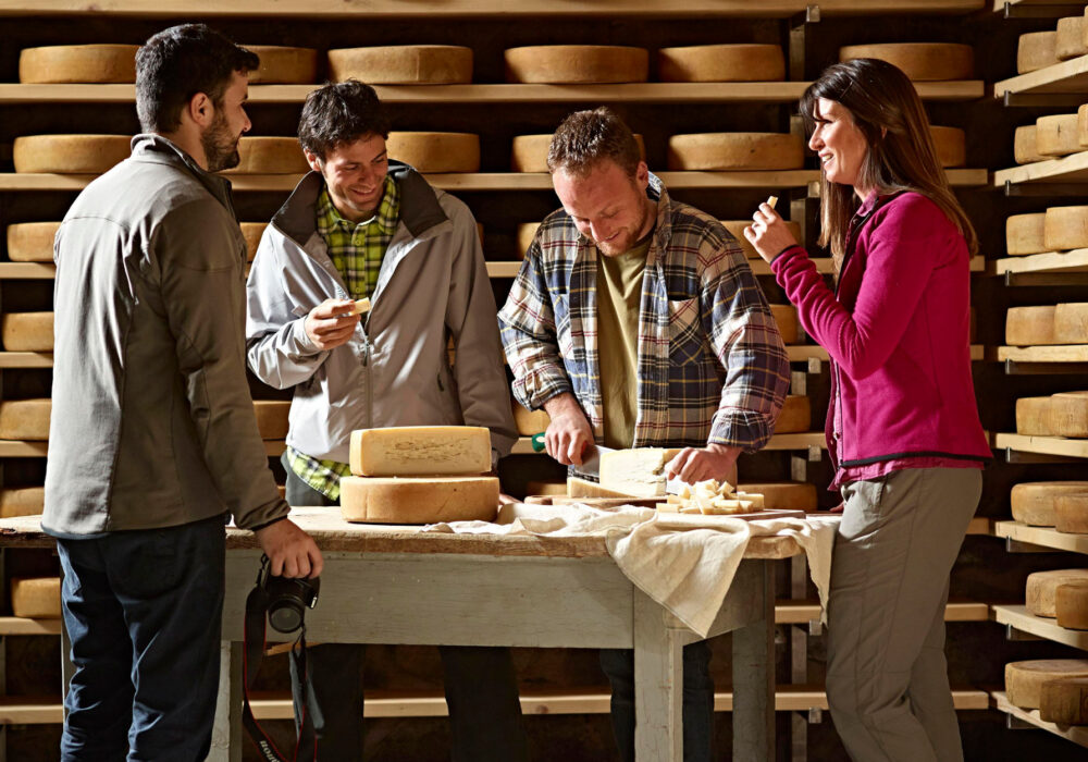 Formaggi con latte di malga: un patrimonio del Trentino da difendere