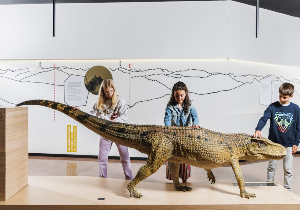 Il Museo Geologico delle Dolomiti di Predazzo: un viaggio per assaggiare il sapore della roccia