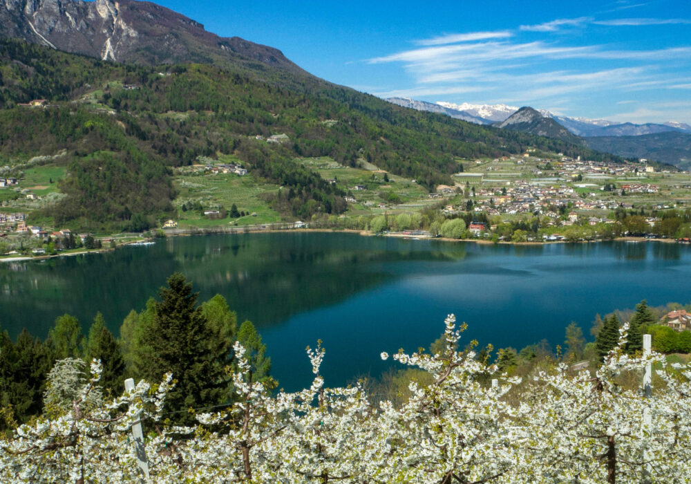 Il respiro luminoso della primavera trentina