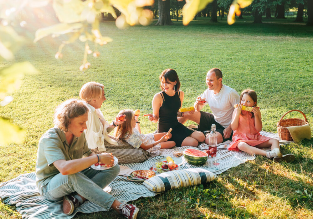 Dove fare dei picnic da sogno in Trentino e godersi il fascino intramontabile della colazione sull’erba