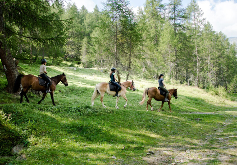 Escursioni a cavallo tra valli, boschi e sentieri del Trentino