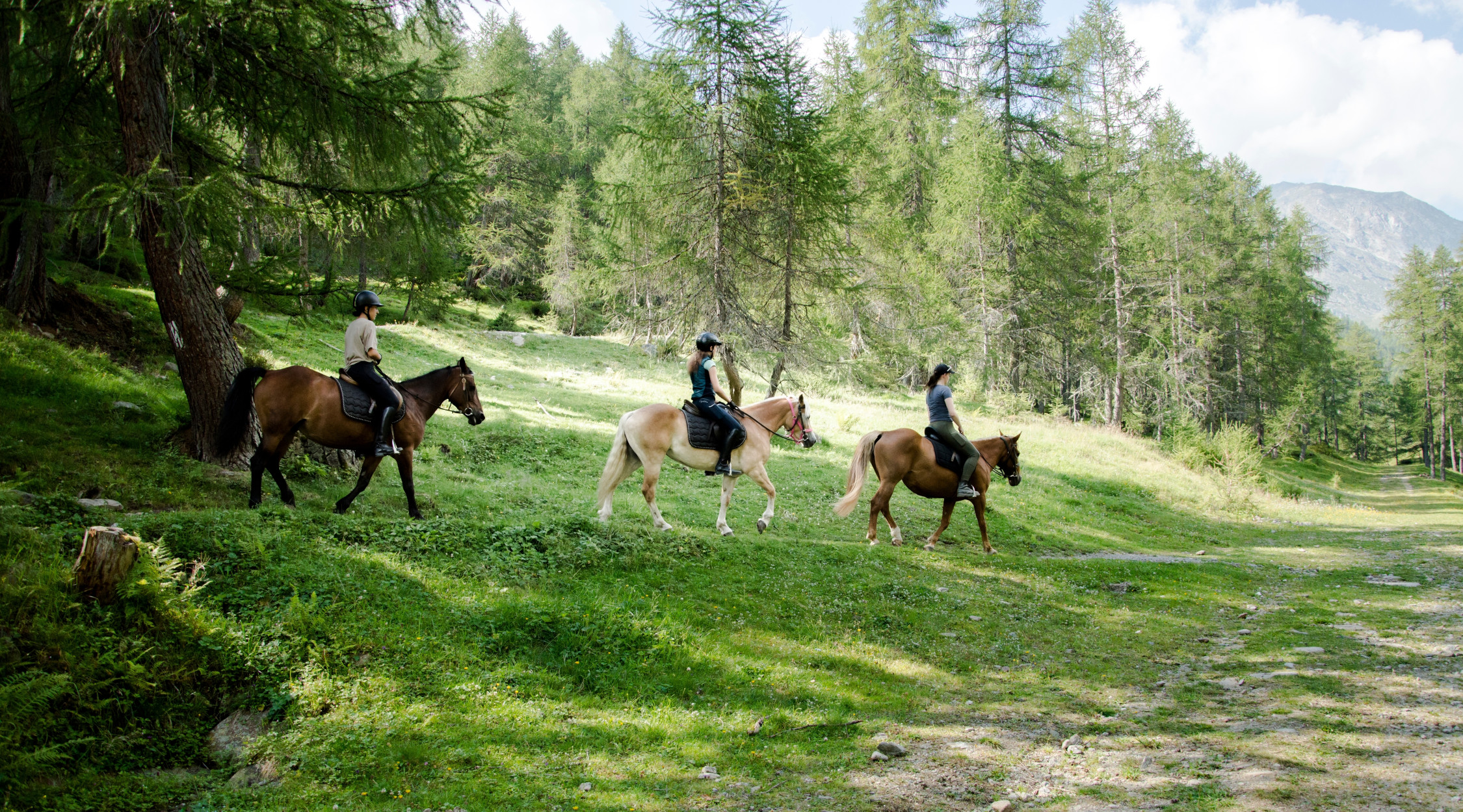 Escursioni a cavallo in Trentino
